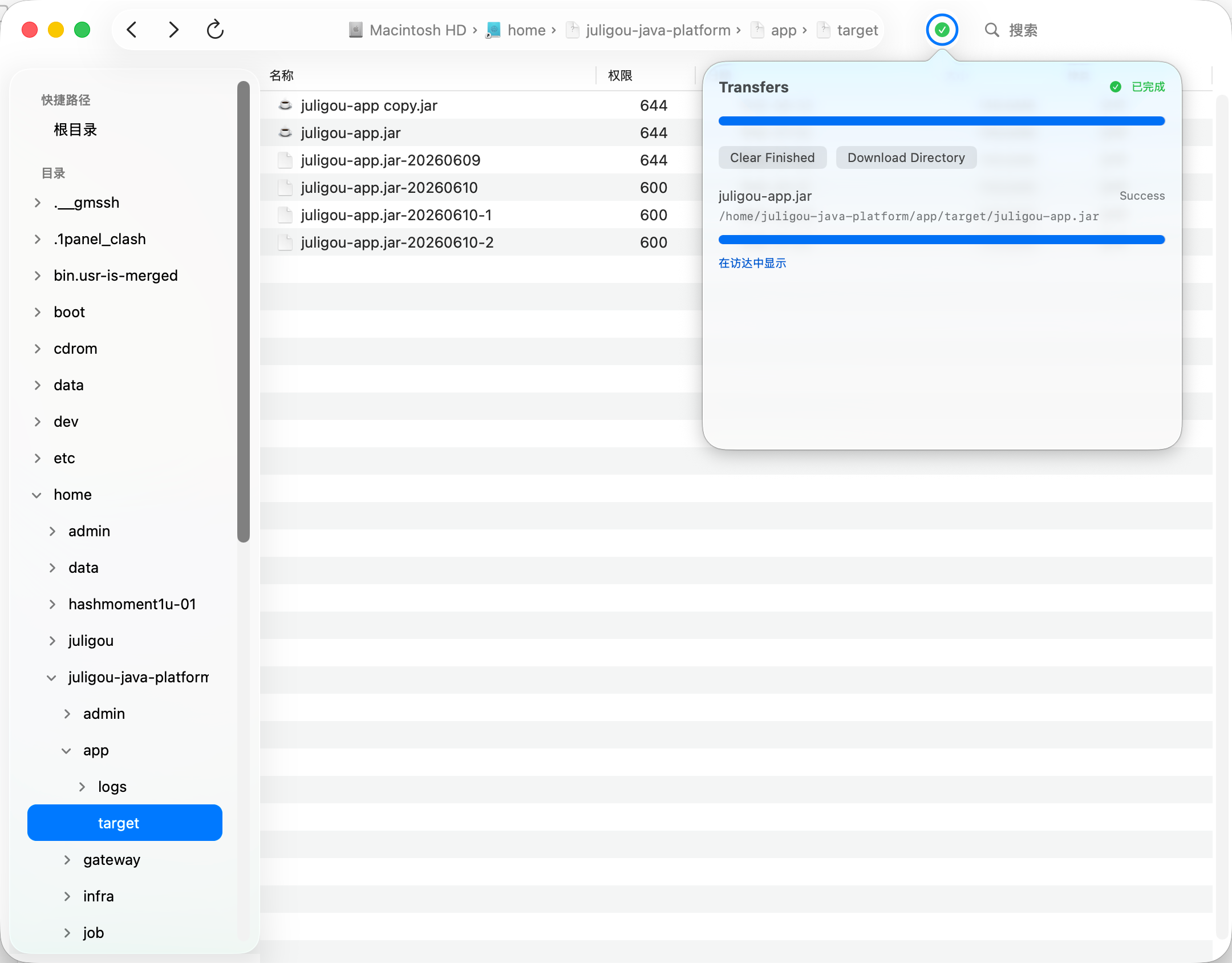 Remora standalone file manager window with transfers